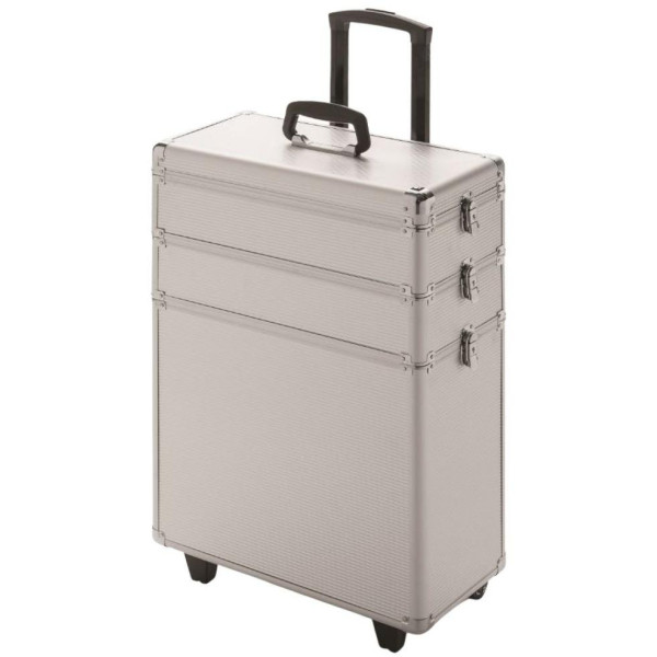 Space Silver line suitcase