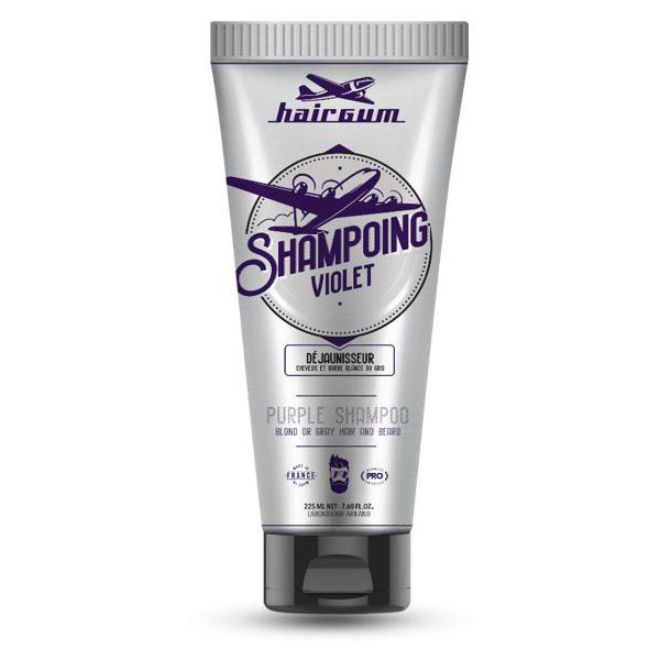 Arizona HAIRGUM Sebo-Regulating Active Purifying Shampoo 200ML